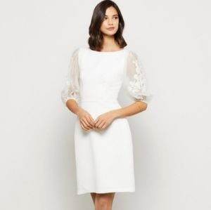 BCBG Mila Lace Sleeve dress